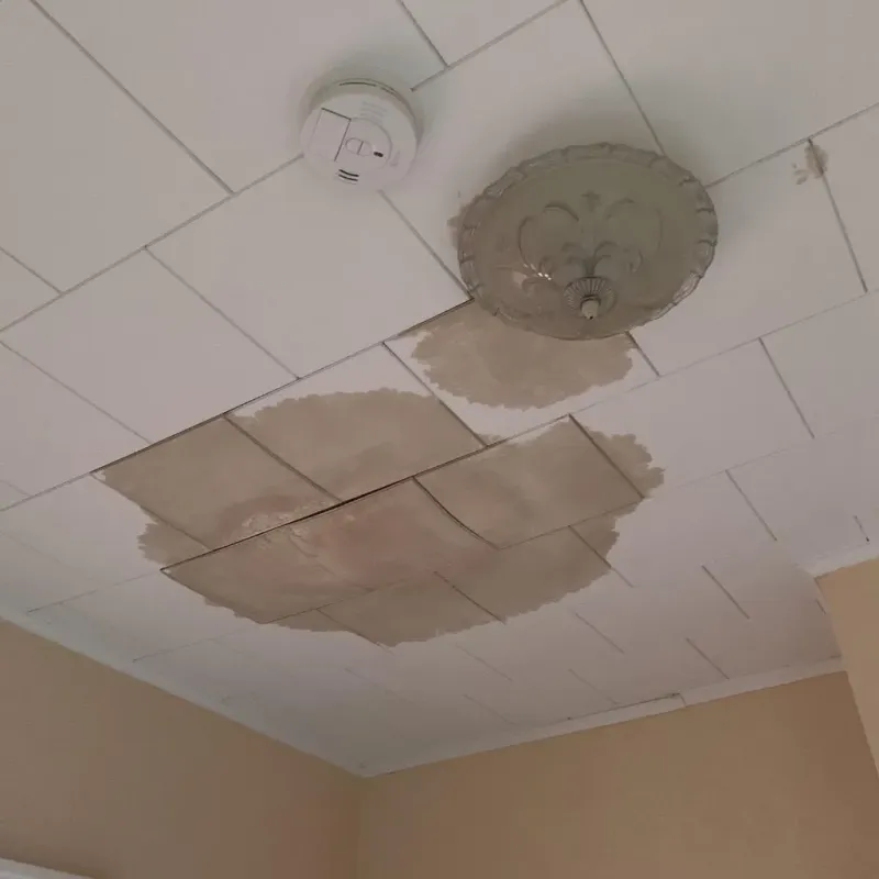 Ceiling Water Damage Repair in Moosic, PA