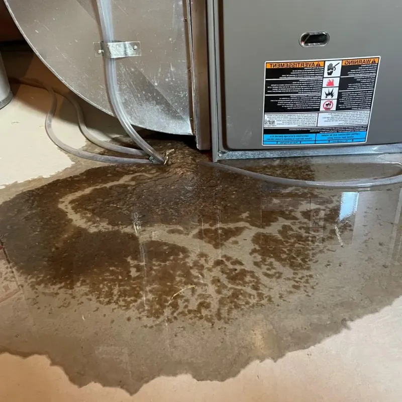 Pipe Burst and Leak Restoration in Moosic, PA